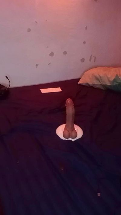 MalcomMainardi free live xxx cams