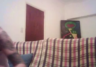 Faloperro_ free live xxx cams