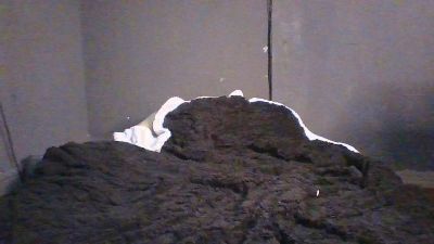 Painandfantasy free live xxx cams