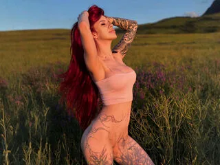 AriaVex free live xxx cams