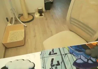 Lazybird8899 free live xxx cams