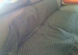 Benj369 free live xxx cams