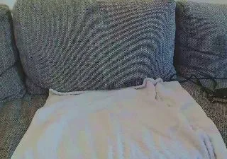 Pussycatt0 free live xxx cams