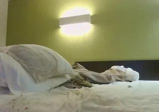 Number1dad_ free live xxx cams