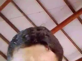Paulosexy free live xxx cams