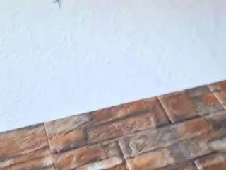 BobbyFap free live xxx cams