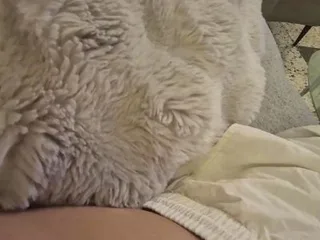 Galakbrulant1 free live xxx cams