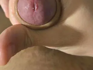 XXXElephantXXX free live xxx cams