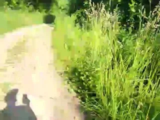Legtiste free live xxx cams