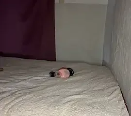 Anirock90 free live xxx cams